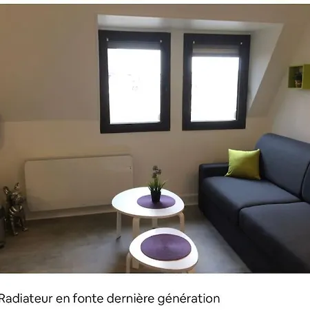 Appartamento 2 Pieces Plein Centre A Pieds