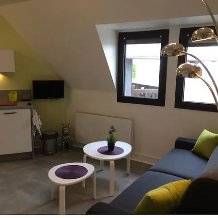 Appartement 2 Pieces Plein Centre A Pieds