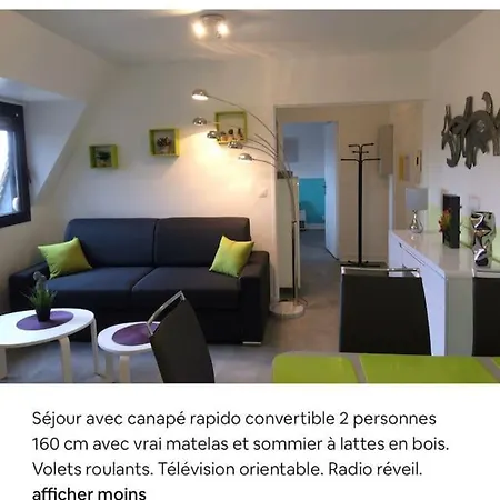 2 Pieces Plein Centre A Pieds Apartment *