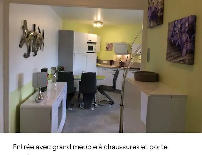Appartement 2 Pieces Plein Centre A Pieds *