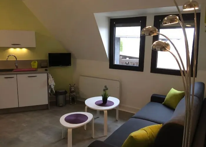 Appartement 2 Pieces Plein Centre A Pieds